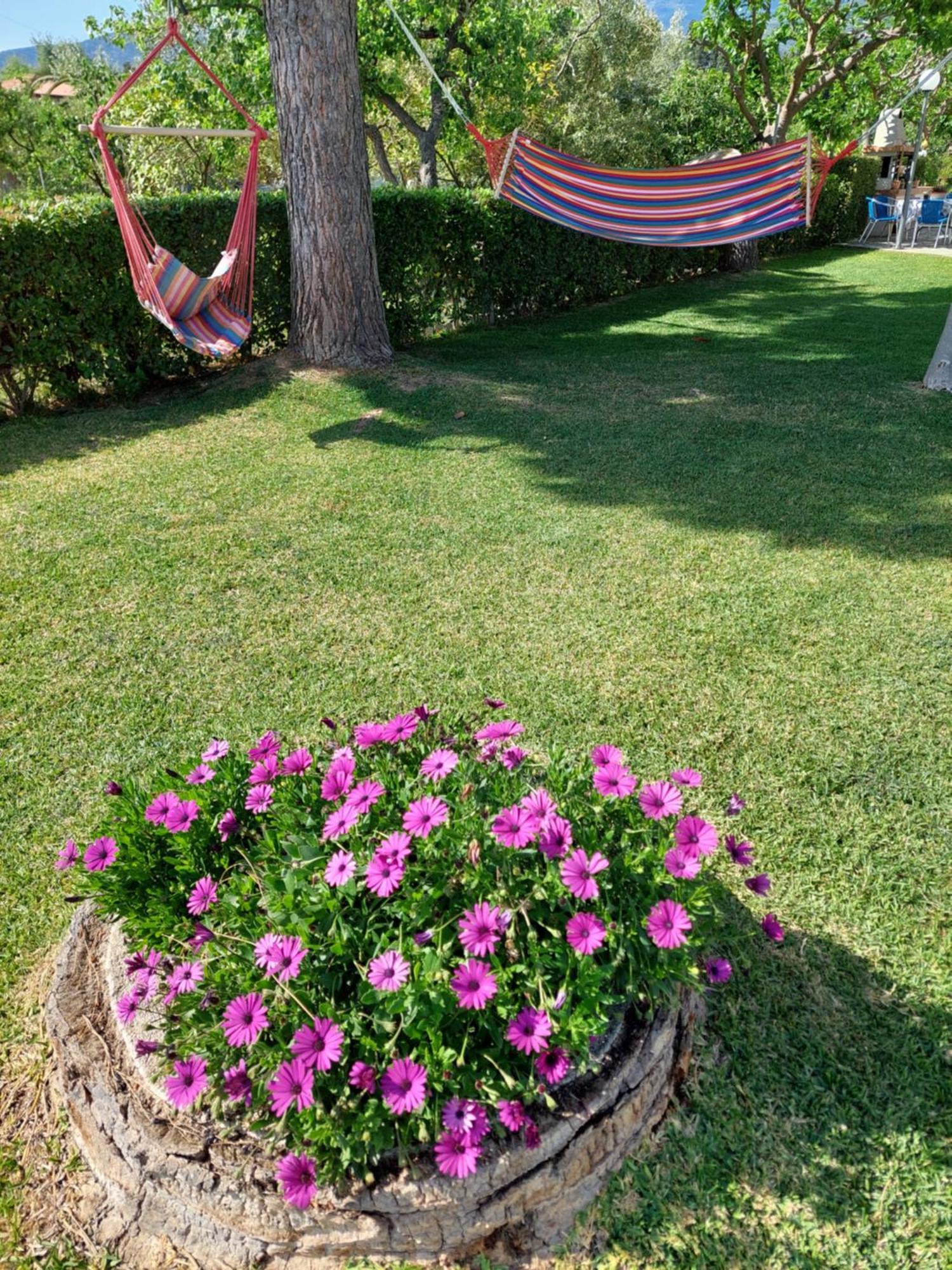 Platanidia Apartment Pelion Exterior photo
