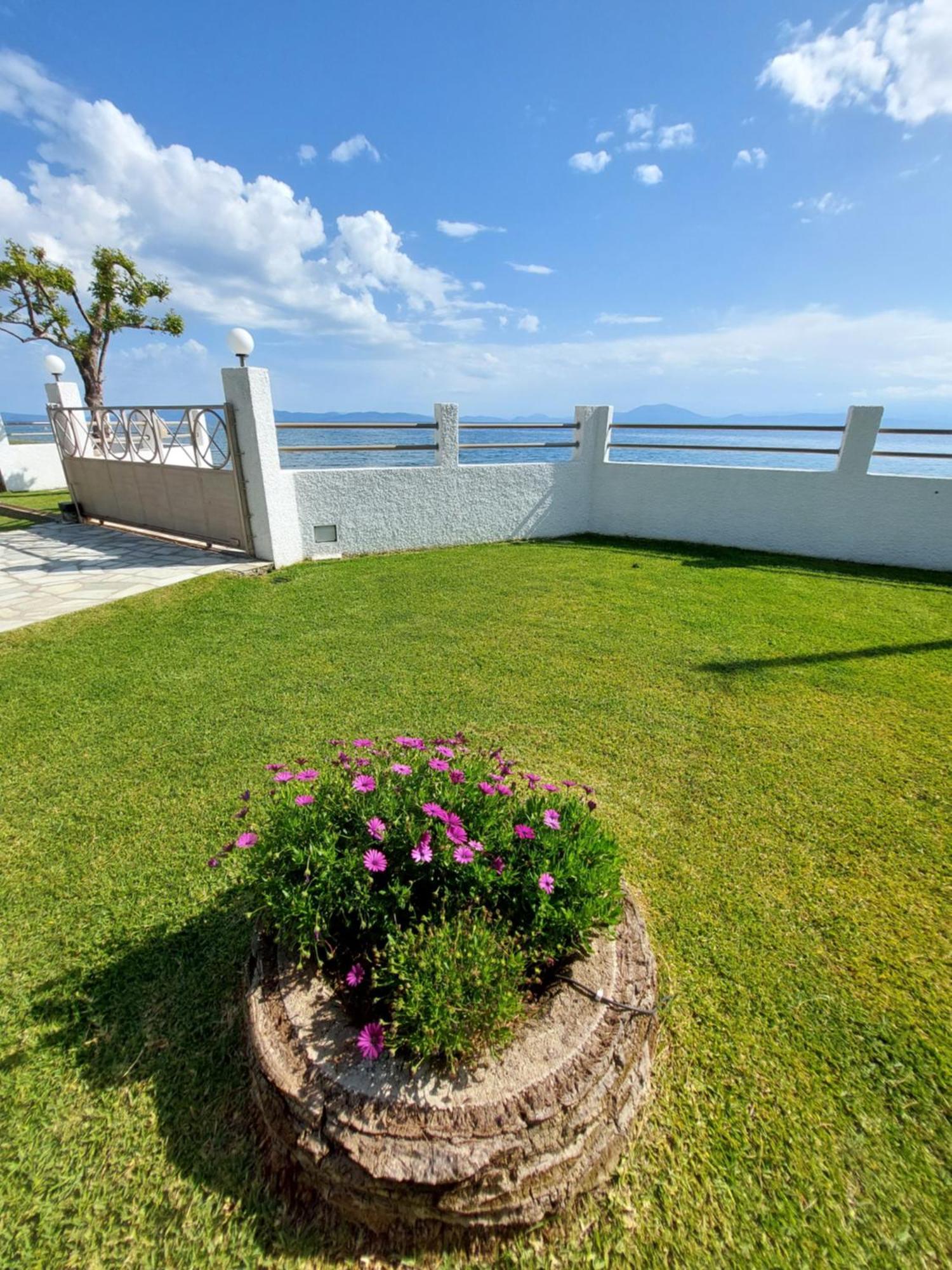 Platanidia Apartment Pelion Exterior photo