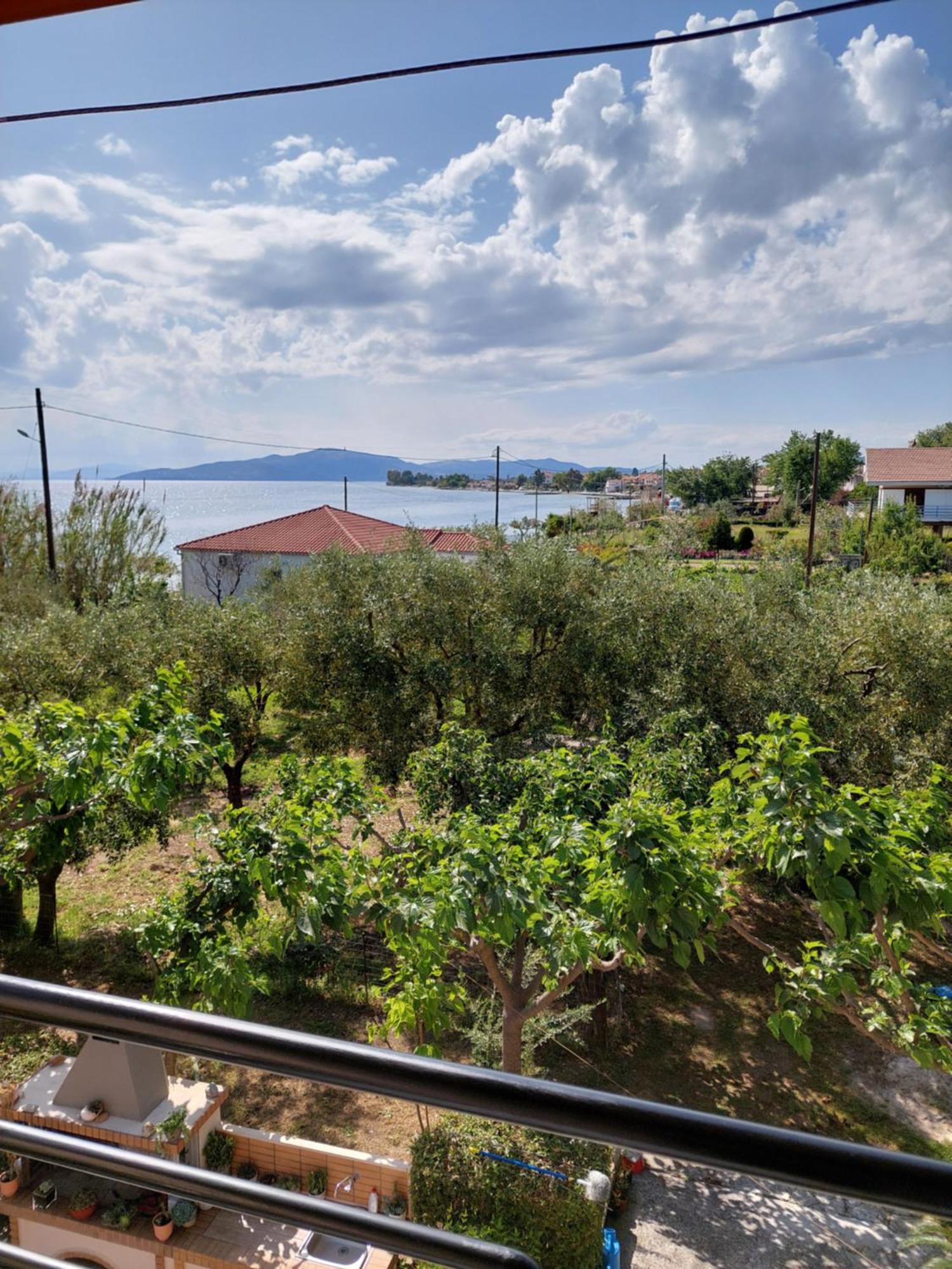 Platanidia Apartment Pelion Exterior photo